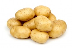 Potato ASOL